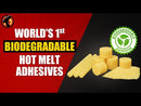 Biodegradable hot melt adhesives
